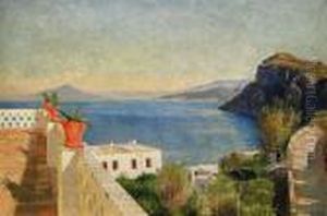 Utsikt Fran Neapel Mot Vesuvius
