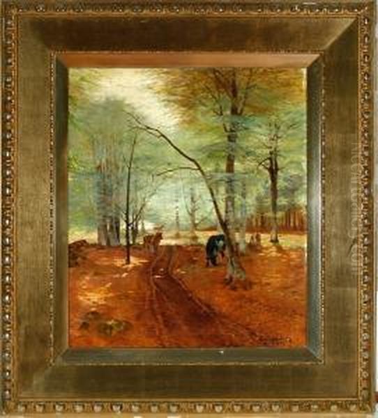 A Spring Forest With Grazing Cows - view 1