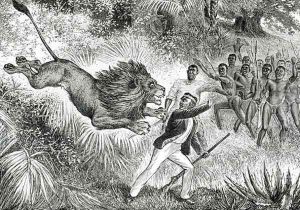 Livingstone Attacked by a Lion by Cobner, J.M.