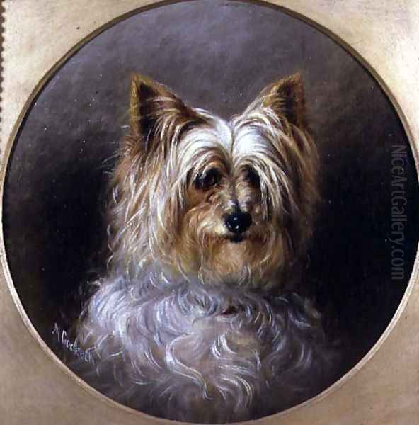 Head study of a Yorkshire terrier - view 1