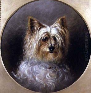 Head study of a Yorkshire terrier