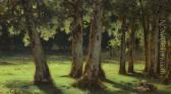Study Of A Tree. - view 1