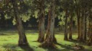 Study Of A Tree. by Arkhip Ivanovich Kuindzhi