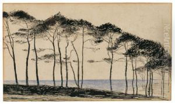Pinienhain Am Meer - view 1
