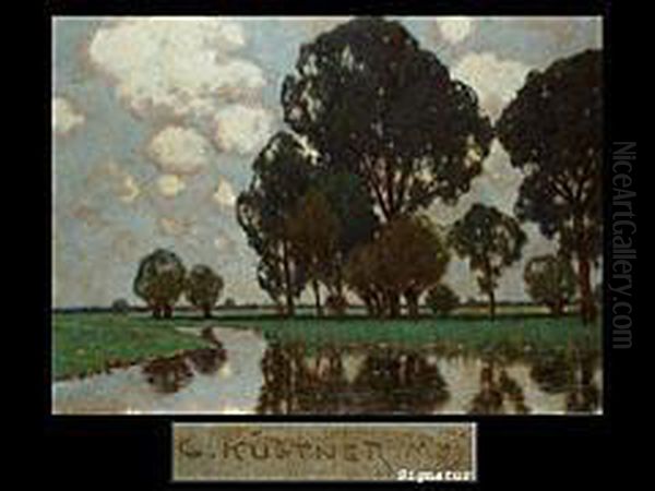 Flusslandschaft Mit Baumen - view 1