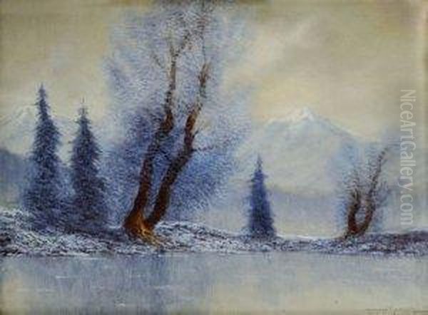 Zima Pri Rieke Poprad - view 1