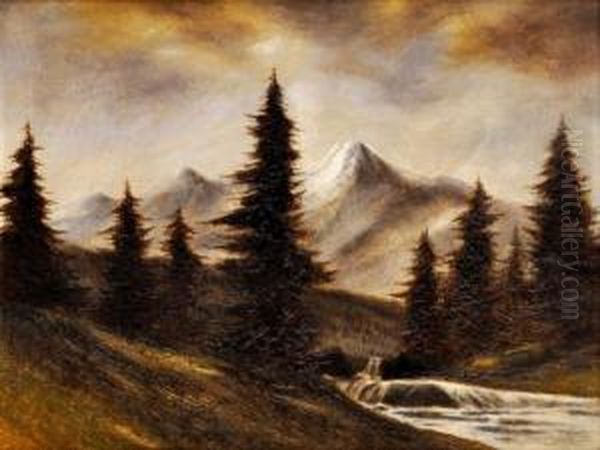 Smreky Pri Rieke Poprad - view 1