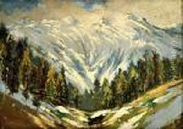 Zima V Tatrach - view 1