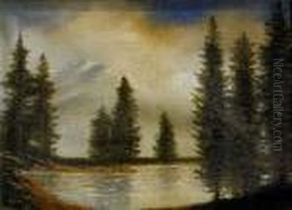 Pri Rieke Poprad - view 1