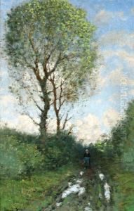 Bospad Bij Regen Bospad Bij Regen