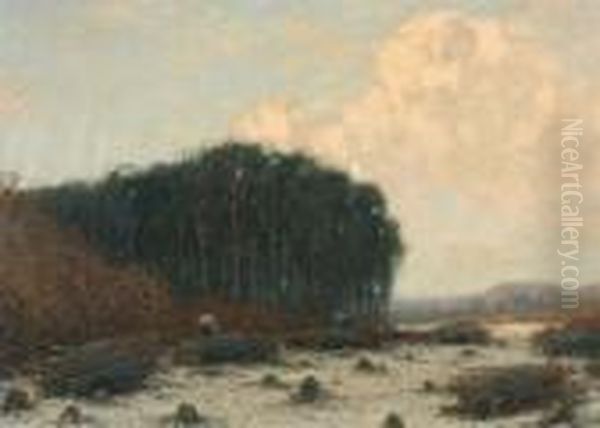 Houthakkers Aan De Bosrand - view 1