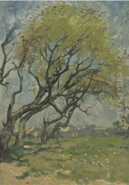 Trees In Spring - view 1