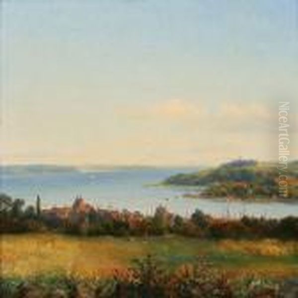 View From Skive Beach - view 1