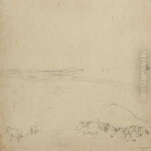 Landscape From Hornbaek With Grassing Sheep