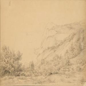 Coastal Scene From The Cliffs Of Moen
