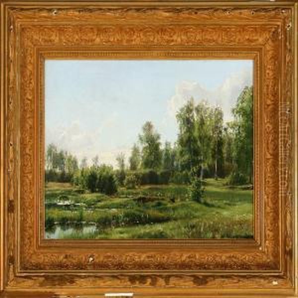 Summer Day At A Moor - view 1