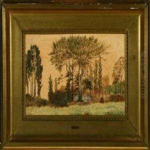House On The Fringes Of The Forest
