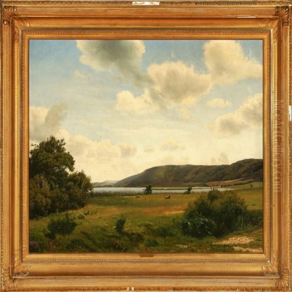 Summer Day In Jutland, Denmark - view 1