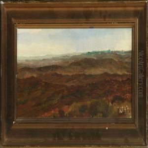 Moor Scenery