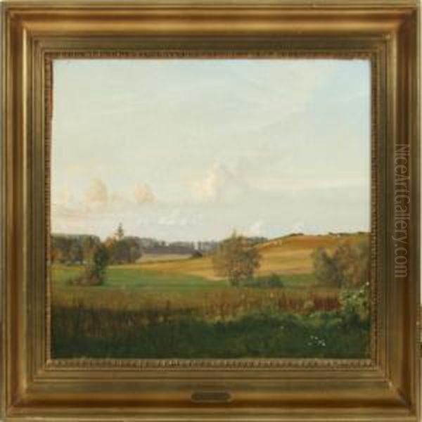 Afternoon At Vads Mill, Denmark - view 1