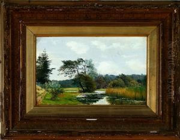 A Danish Stream Scenery - view 1