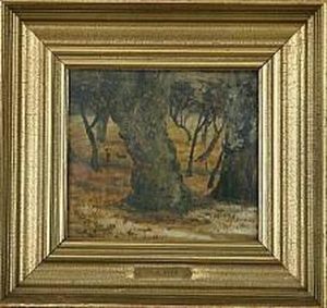 Forest Study