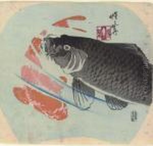 Carp - view 1
