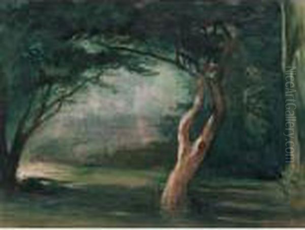 Study Of Trees In Moonlight, Honolulu, Hawaii - view 1