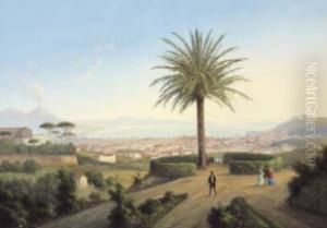 Veduta Di Napoli Da Capodimonte