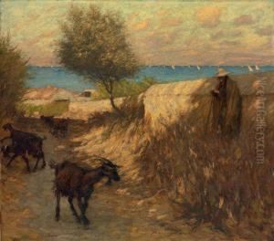Provencal Lane, Martigues