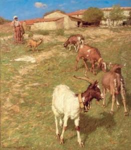Provencal Farm