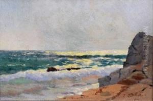 Reflets De Soleil Sur La Mer