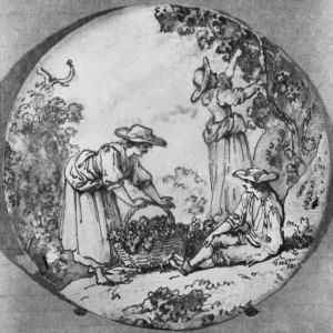 La Raccolta Della Frutta