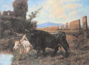 Bufali Nella Campagna Romana by Valerio Laccetti