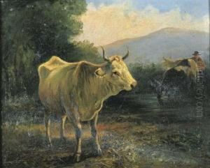Mucche Al Pascolo by Valerio Laccetti