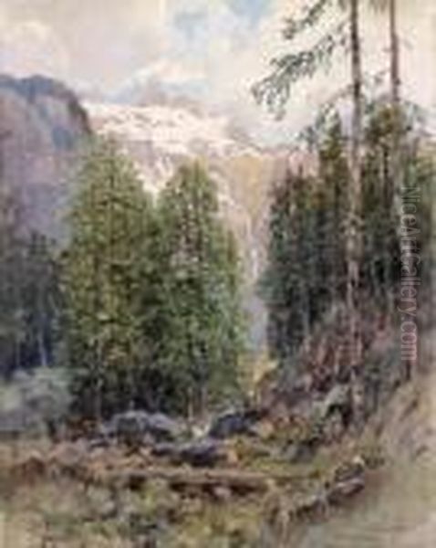 "the Ahnkogel In Thehohe Tauern" - view 1