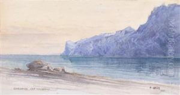 Gardasee - view 1