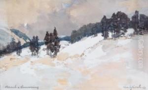 Schneehang In Raach Am Semmering