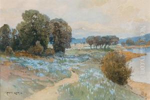 A Humid Meadow - view 1