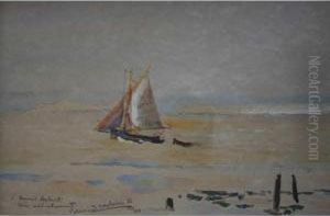 Crevettier De Honfleur En Baie De Seine