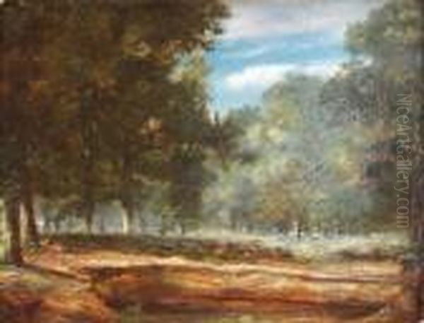Wooded Landscape - view 1