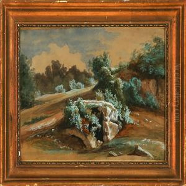 Slope With Rocks And Bushes - view 1