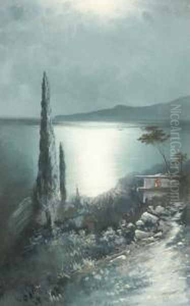 Romantische Mondschein-kustenlandschaft - view 1