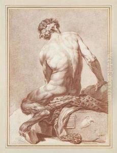 Faune Vu De Dos