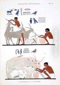 Veterinary Work by Frederic Cailliaud