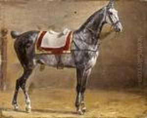 Etude De Cheval Pommele by Francois-Hippolyte Lalaisse