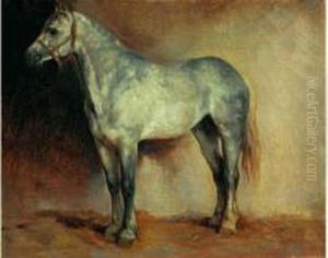 Cheval Gris Pommele A L'ecurie