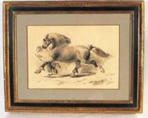 cheval De Trait A La Longe