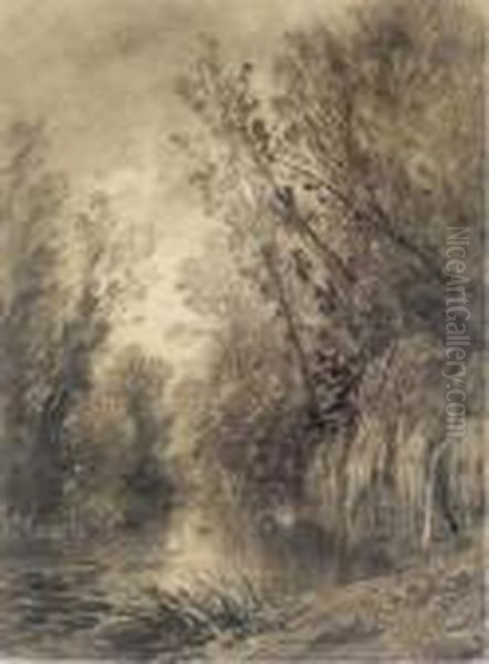 An Extensive Wooded Landscape With A Cascading Waterfall - view 1