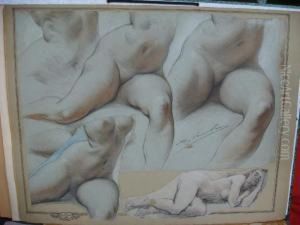 Etude De Girons Feminins